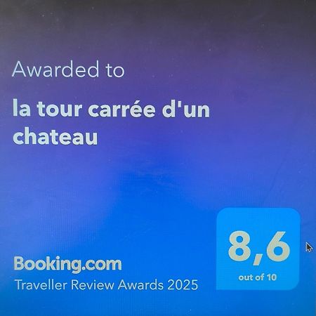 La Tour Carree D'Un Chateau Auzouer-en-Touraine Εξωτερικό φωτογραφία